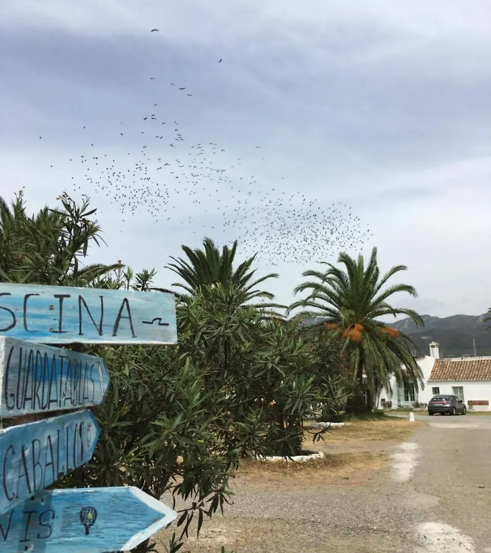 Casa vacanze Casa Del Cortijo Villa Tarifa